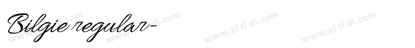Bilgie regular字体转换 Bilgie regular字体转换